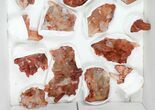 Lot: Natural, Red Quartz Crystal Clusters - Pieces #101500-2